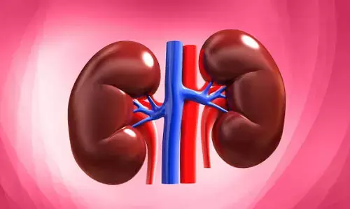 Damaging Your Kidneys: మీరు రోజూ చేసే ఈ చిన్న చిన్న తప్పులే మీ కిడ్నీలను ఖతం చేస్తాయి.. Damaging Your Kidneys: మీరు రోజూ చేసే ఈ చిన్న చిన్న తప్పులే మీ కిడ్నీలను ఖతం చేస్తాయి..