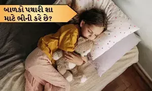 Children Wetting the Bed: పిల్లలు మంచం తడుపుతున్నారా? అది జబ్బు కాదు..నిపుణుల సూచనలు ఇవే.. Children Wetting the Bed: పిల్లలు మంచం తడుపుతున్నారా? అది జబ్బు కాదు..నిపుణుల సూచనలు ఇవే..