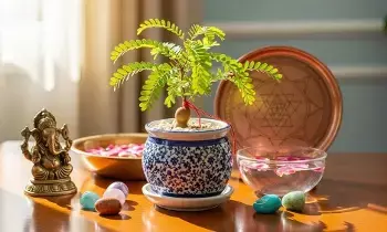 Struggling with Peace and Finances at Hom: ఇంట్లో అశాంతి, ఆర్థిక కష్టాలా? చింతపండుతో ఇలా చేస్తే అదృష్టం మీ తలుపు తడుతుంది.. Struggling with Peace and Finances at Hom: ఇంట్లో అశాంతి, ఆర్థిక కష్టాలా? చింతపండుతో ఇలా చేస్తే అదృష్టం మీ తలుపు తడుతుంది..