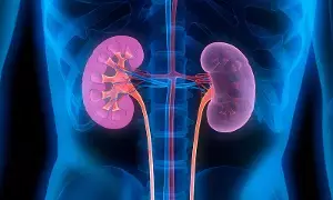 Harm Your Kidneys: అలర్ట్: మీ ఈ చిన్న తప్పులే కిడ్నీలకు శాపం.. వెంటనే ఇలా చేయండి..