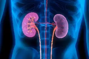 Harm Your Kidneys: అలర్ట్: మీ ఈ చిన్న తప్పులే కిడ్నీలకు శాపం.. వెంటనే ఇలా చేయండి.. Harm Your Kidneys: అలర్ట్: మీ ఈ చిన్న తప్పులే కిడ్నీలకు శాపం.. వెంటనే ఇలా చేయండి..