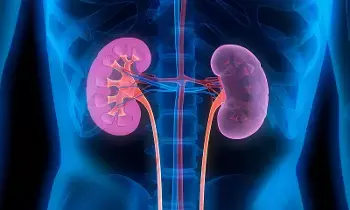 Harm Your Kidneys: అలర్ట్: మీ ఈ చిన్న తప్పులే కిడ్నీలకు శాపం.. వెంటనే ఇలా చేయండి..