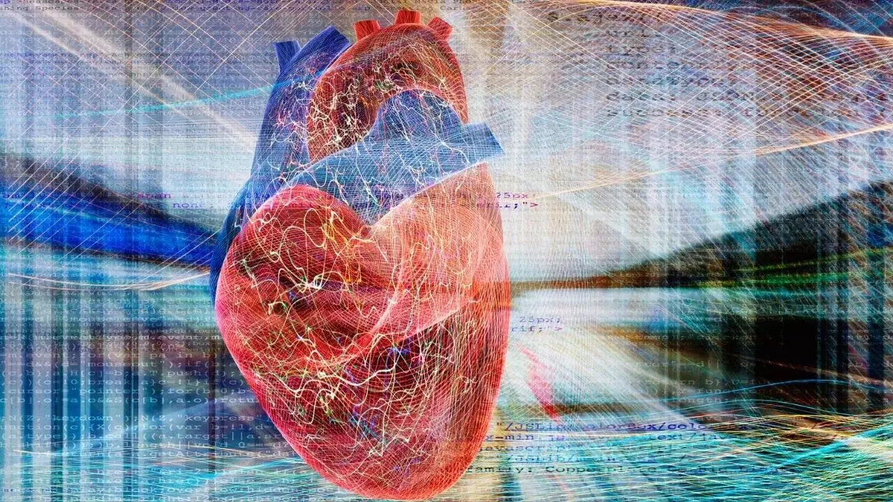 Want to Keep Your Heart Healthy: మీ గుండె పదిలంగా ఉండాలా? అయితే ఈ ఆహారాలకు దూరంగా ఉండాల్సిందే.. Want to Keep Your Heart Healthy: మీ గుండె పదిలంగా ఉండాలా? అయితే ఈ ఆహారాలకు దూరంగా ఉండాల్సిందే..