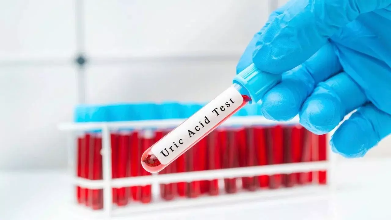 Blood in Urine: మూత్రంలో రక్తం కనిపిస్తోందా? అయితే అది కిడ్నీ క్యాన్సర్ కావచ్చు.. ఎప్పుడు జాగ్రత్తపడాలి? Blood in Urine: మూత్రంలో రక్తం కనిపిస్తోందా? అయితే అది కిడ్నీ క్యాన్సర్ కావచ్చు.. ఎప్పుడు జాగ్రత్తపడాలి?