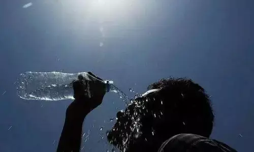 Stay Safe from the Summer Heat: ఎండల నుంచి తప్పించుకోవడానికి హెల్త్ టిప్స్ ఇవే!