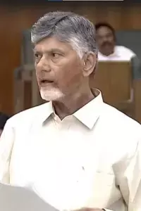 N. Chandrababu Naidu:  పోలవరం ఒక్క ఏడాదిలో పూర్తి.. జాతికి అంకితం..సీఎం చంద్రబాబు శాసనసభలో స్పష్టం