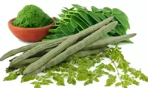 Drumstick:  మునగకాయ: ఇది కేవలం కూరగాయ కాదు.. ఒక శక్తివంతమైన ఔషధం.. ఈ జాగ్రత్తలు తప్పనిసరి..