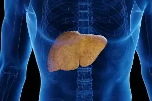 Even Without Alcohol, Liver Can Fail: మద్యం ముట్టకపోయినా లివర్ పని ఖతమ్! తాగని వారిలోనూ పెరుగుతున్న కాలేయ వ్యాధులు..