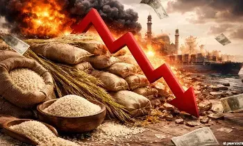 Rice Export : ఇరాన్ మార్కెట్ క్లోజ్..సముద్రం మధ్యలోనే చిక్కుకున్న 4 లక్షల టన్నుల బాస్మతి బియ్యం