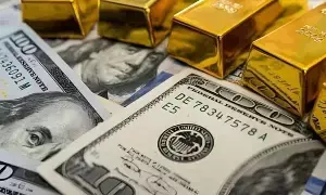 Forex Reserves : భారత్ భలే జోరు.. రికార్డు స్థాయికి చేరిన విదేశీ మారక నిల్వలు