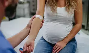 Planning Pregnancy: గర్భధారణకు ప్లాన్ చేస్తున్నారా? అయితే ముందుగా మీ శరీరంలో ఐరన్ ఎంతుందో చూసుకోండి..