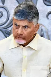 N. Chandrababu Naidu: ఆంధ్రప్రదేశ్‌లో ఇంటిగ్రేటెడ్ స్ట్రాటజిక్ మెటీరియల్స్ హబ్‌గా అభివృద్ధి చేస్తాం: సీఎం చంద్రబాబు