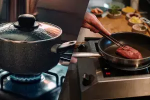 LPG vs Induction : నెలకు రూ. 300 ఆదా.. గ్యాస్ సిలిండర్లకు గుడ్ బై చెప్పి ఇండక్షన్ వైపు జనం క్యూ