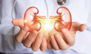 Kidney Health: కిడ్నీల ఆరోగ్యం మీ చేతుల్లోనే.. నిపుణులు సూచిస్తున్న 6 కీలక అలవాట్లు..