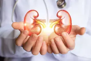 Kidney Health: కిడ్నీల ఆరోగ్యం మీ చేతుల్లోనే.. నిపుణులు సూచిస్తున్న 6 కీలక అలవాట్లు..