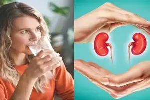 Risk of Kidney Disease: నీళ్లు ఎక్కువగా తాగితే కిడ్నీ వ్యాధులు తగ్గుతాయా?