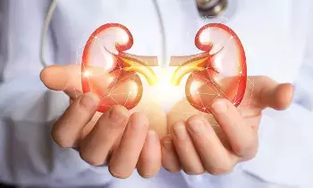 Kidney Health: కిడ్నీల ఆరోగ్యం మీ చేతుల్లోనే.. నిపుణులు సూచిస్తున్న 6 కీలక అలవాట్లు..