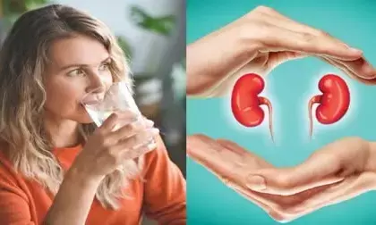 Risk of Kidney Disease: నీళ్లు ఎక్కువగా తాగితే కిడ్నీ వ్యాధులు తగ్గుతాయా?