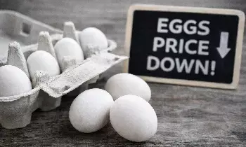Egg Price Drop : వారంలోనే సీన్ రివర్స్.. రూ.8 నుంచి రూ.3.50కి పడిపోయిన గుడ్డు ధర