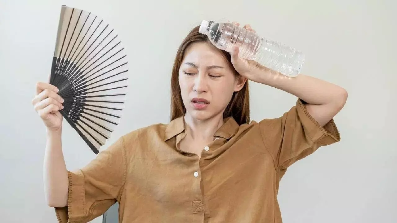 Dehydration Risk in Summer: వేసవిలో డీహైడ్రేషన్ ముప్పు.. కేవలం నీరు తాగితే సరిపోదు.. ఈ ఆహారాలు మీ డైట్లో ఉండాల్సిందే Dehydration Risk in Summer: వేసవిలో డీహైడ్రేషన్ ముప్పు.. కేవలం నీరు తాగితే సరిపోదు.. ఈ ఆహారాలు మీ డైట్లో ఉండాల్సిందే