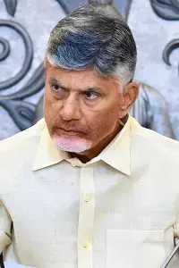 N. Chandrababu Naidu: పార్టీకి నష్టం చేసే వారిని సహించమని హెచ్చరించిన సీఎం చంద్రబాబు