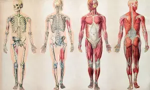 Craving Chips Often: చిప్స్ గుర్తొస్తున్నాయా? అయితే మీ బాడీలో ఆ లోపం ఉన్నట్టే!