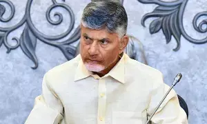 N. Chandrababu Naidu: పార్టీకి నష్టం చేసే వారిని సహించమని హెచ్చరించిన సీఎం చంద్రబాబు