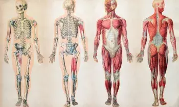 Craving Chips Often: చిప్స్ గుర్తొస్తున్నాయా? అయితే మీ బాడీలో ఆ లోపం ఉన్నట్టే!