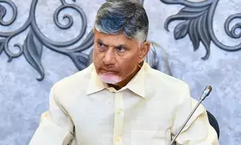 N. Chandrababu Naidu: పార్టీకి నష్టం చేసే వారిని సహించమని హెచ్చరించిన సీఎం చంద్రబాబు
