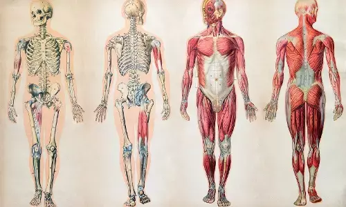 Craving Chips Often: చిప్స్ గుర్తొస్తున్నాయా? అయితే మీ బాడీలో ఆ లోపం ఉన్నట్టే!