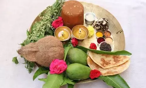 Ugadi Tomorrow:  రేపే ఉగాది: కొత్త ఏడాదికి శుభారంభం.. వేప-బెల్లం వెనుక ఉన్న అంతరార్థం ఏమిటి?