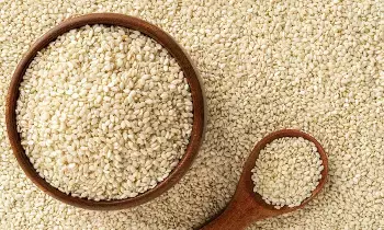 Stronger Than Milk: పాలకు మించిన పవర్.. ఎముకలు ఉక్కులా మారాలంటే రోజూ ఒక చెంచా ఇది తినండి..