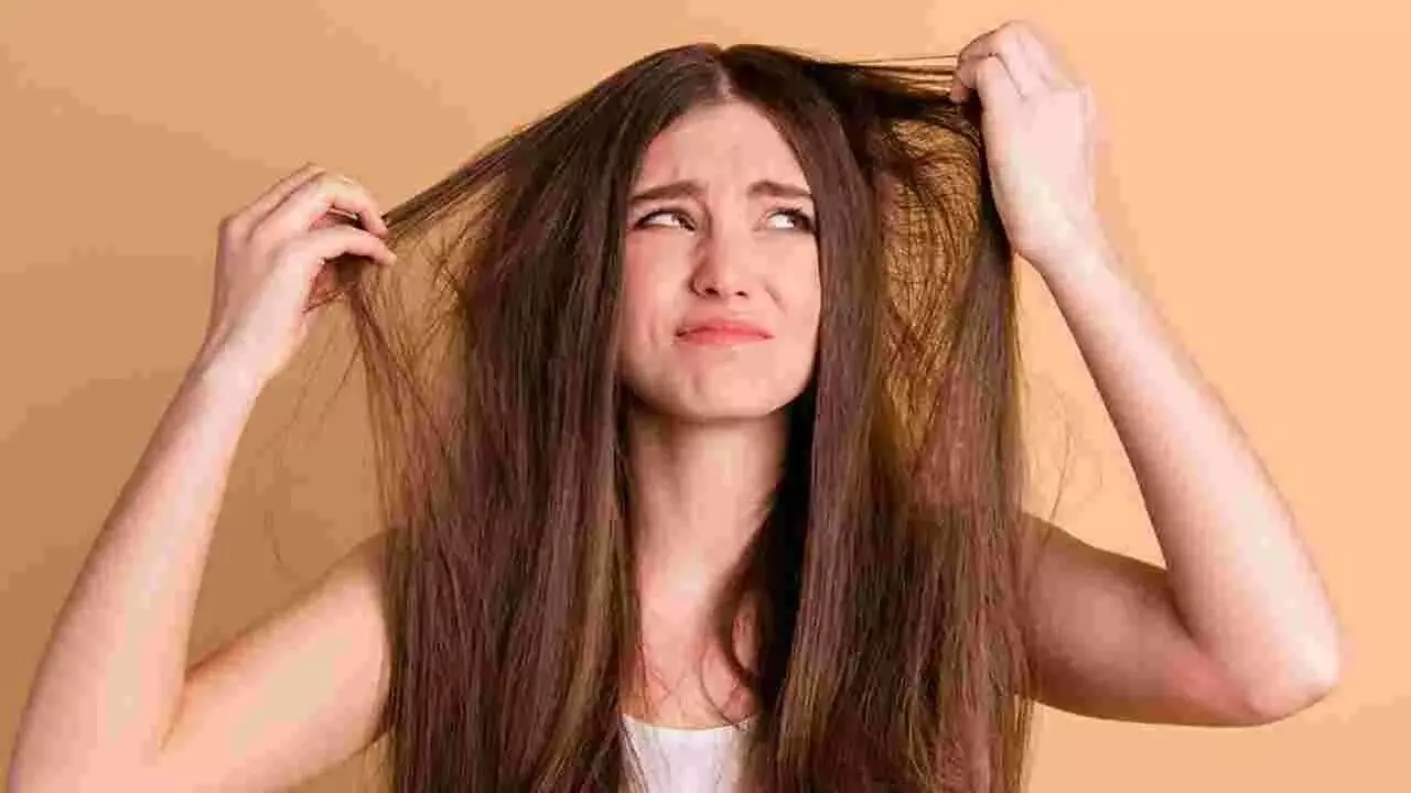 Hair Fall and Skin Issues: జుట్టు రాలడం, చర్మ సమస్యలా? మీ ఇంట్లో ఇది ఉంటే చాలు.. అద్భుత ఫలితాలు.. Hair Fall and Skin Issues: జుట్టు రాలడం, చర్మ సమస్యలా? మీ ఇంట్లో ఇది ఉంటే చాలు.. అద్భుత ఫలితాలు..