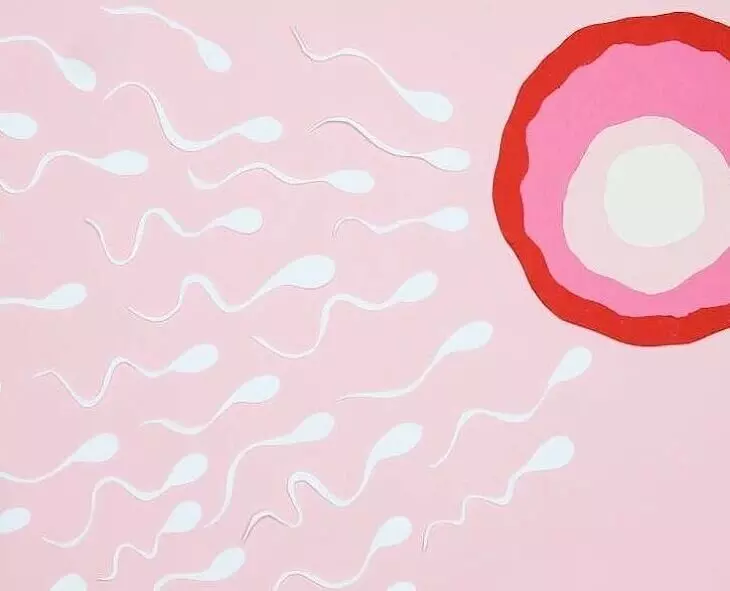 Ultra-Processed Foods: అల్ట్రా ప్రాసెస్డ్ ఫుడ్స్తో ముప్పు: తండ్రి కావాలనుకునే వారు జాగ్రత్త! Ultra-Processed Foods: అల్ట్రా ప్రాసెస్డ్ ఫుడ్స్తో ముప్పు: తండ్రి కావాలనుకునే వారు జాగ్రత్త!