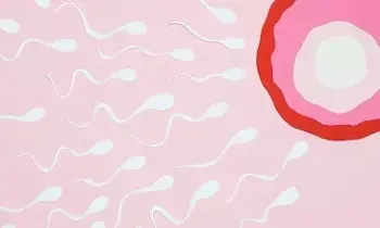 Ultra-Processed Foods: అల్ట్రా ప్రాసెస్డ్ ఫుడ్స్‌తో ముప్పు: తండ్రి కావాలనుకునే వారు జాగ్రత్త!