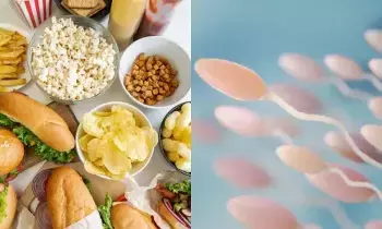 Ultra-Processed Foods: అల్ట్రా ప్రాసెస్డ్ ఫుడ్స్ తింటే సంతానలేమి.. నిజమేనా.? Ultra-Processed Foods: అల్ట్రా ప్రాసెస్డ్ ఫుడ్స్ తింటే సంతానలేమి.. నిజమేనా.?