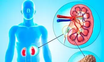 Kidney Stones: కిడ్నీలో రాళ్లు ఉన్నవారు పాలు తాగకూడదా? అసలు నిజం ఇది..