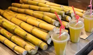 Politent- Drinking Sugarcane Juice in Summer: వేసవిలో చెరకు రసం తాగుతున్నారా? జాగ్రత్త.. నిపుణులు ఏమంటున్నారంటే? Politent- Drinking Sugarcane Juice in Summer: వేసవిలో చెరకు రసం తాగుతున్నారా? జాగ్రత్త.. నిపుణులు ఏమంటున్నారంటే?