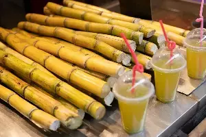 Politent- Drinking Sugarcane Juice in Summer: వేసవిలో చెరకు రసం తాగుతున్నారా? జాగ్రత్త.. నిపుణులు ఏమంటున్నారంటే? Politent- Drinking Sugarcane Juice in Summer: వేసవిలో చెరకు రసం తాగుతున్నారా? జాగ్రత్త.. నిపుణులు ఏమంటున్నారంటే?