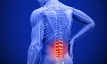 Bone Pain at a Young Age: యవ్వనంలోనే ఎముకల నొప్పులా? కేవలం కాల్షియం ఉంటే సరిపోదు.. ఈ పోషకాలు కూడా ఉండాల్సిందే.. Bone Pain at a Young Age: యవ్వనంలోనే ఎముకల నొప్పులా? కేవలం కాల్షియం ఉంటే సరిపోదు.. ఈ పోషకాలు కూడా ఉండాల్సిందే..