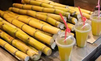 Politent- Drinking Sugarcane Juice in Summer: వేసవిలో చెరకు రసం తాగుతున్నారా? జాగ్రత్త.. నిపుణులు ఏమంటున్నారంటే?