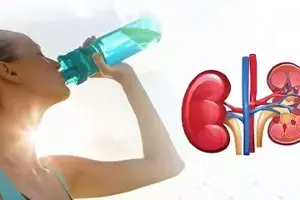 Summer Heat Affects Kidneys: కిడ్నీలపై ఎండ ప్రభావం ఎలా ఉంటుంది? Summer Heat Affects Kidneys: కిడ్నీలపై ఎండ ప్రభావం ఎలా ఉంటుంది?