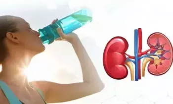 Summer Heat Affects Kidneys: కిడ్నీలపై ఎండ ప్రభావం ఎలా ఉంటుంది?
