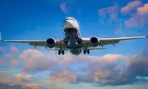 Aviation Market : దేశీయ విమానయానంలో ఇండిగో, ఎయిర్ ఇండియా హవా.. మిగిలిన కంపెనీలకు దిక్కులేదా?