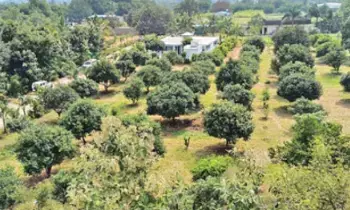 Assigned Lands in Aziznagar: అజీజ్‌నగర్‌లో ఎసైన్డ్‌ భూముల అనధికార అమ్మకాలు.. ప్రభుత్వ ఆస్తి పెద్దల చేతుల్లో!