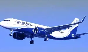IndiGo : విదేశాలకు వెళ్తున్నారా? అయితే మీ ఆస్తులు అమ్ముకోవాల్సిందే.. విమాన ప్రయాణంపై బాంబు పేల్చిన ఇండిగో