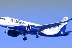 IndiGo : విదేశాలకు వెళ్తున్నారా? అయితే మీ ఆస్తులు అమ్ముకోవాల్సిందే.. విమాన ప్రయాణంపై బాంబు పేల్చిన ఇండిగో