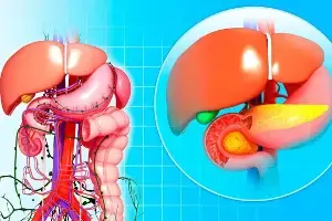 Protect Your Liver: మీ కాలేయం ప్రమాదంలో ఉందా? ఆరోగ్యంగా ఉండాలంటే ఈ అలవాట్లు మార్చుకోండి Protect Your Liver: మీ కాలేయం ప్రమాదంలో ఉందా? ఆరోగ్యంగా ఉండాలంటే ఈ అలవాట్లు మార్చుకోండి