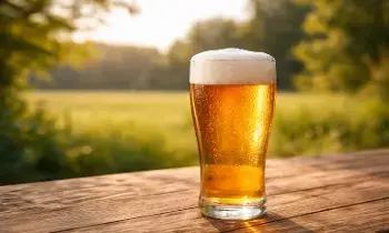 Drinking Beer Cure Kidney Stones: బీరు తాగితే కిడ్నీలో రాళ్లు మాయం? నిజమెంత ?