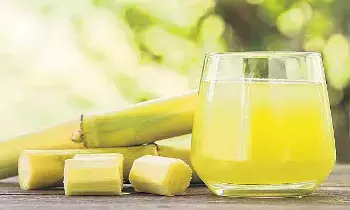 Sugarcane Juice: అలాంటి వాళ్లు చెరకు రసం తాగకూడదా.?